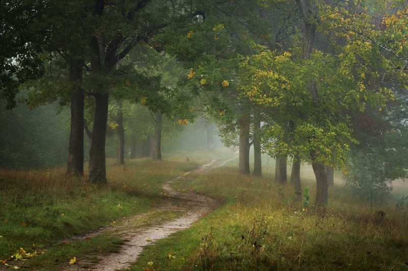 Фото сделанное пользователем GregB