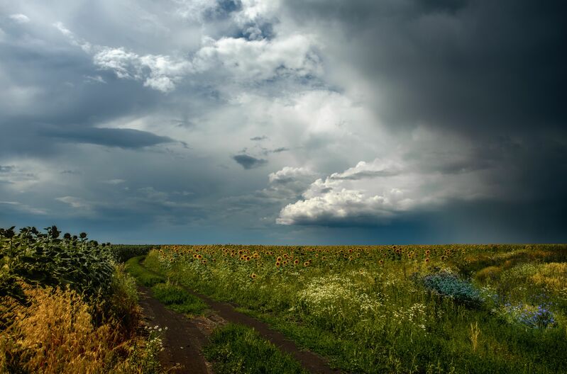 Фото сделанное пользователем Semenko