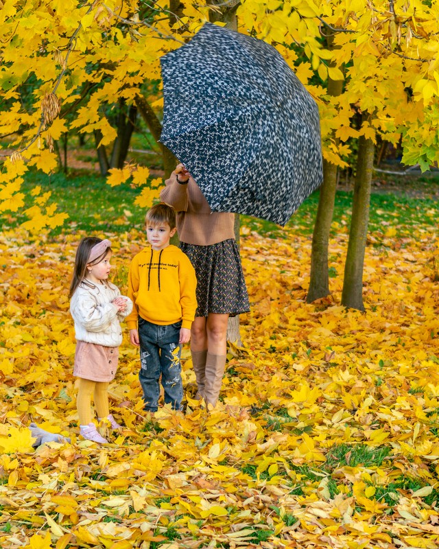 Фото сделанное пользователем мульден