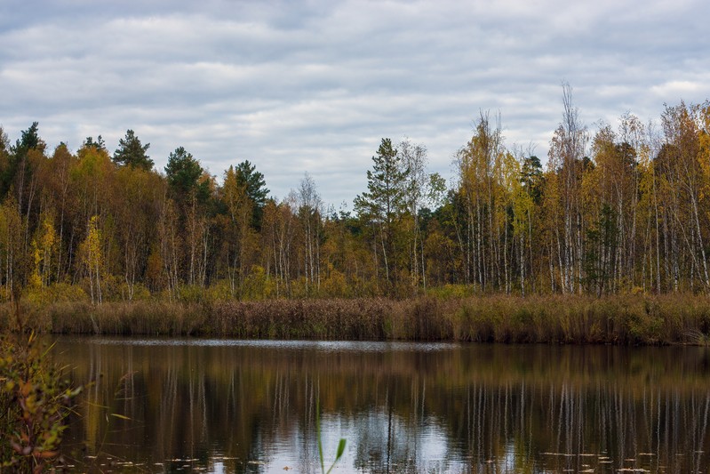 Фото сделанное пользователем ansap