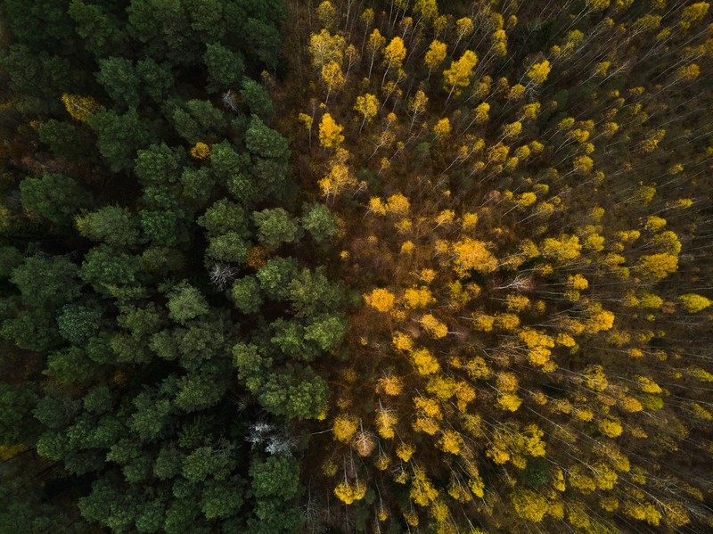 Фото сделанное пользователем Ундервуд