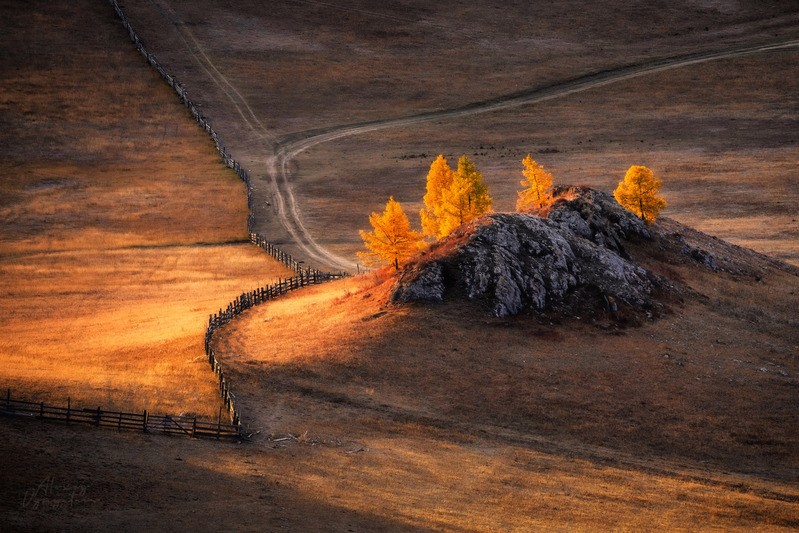 Фото сделанное пользователем alvytsk