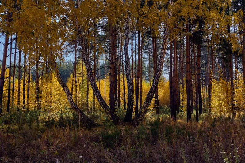 Фото сделанное пользователем ssa551