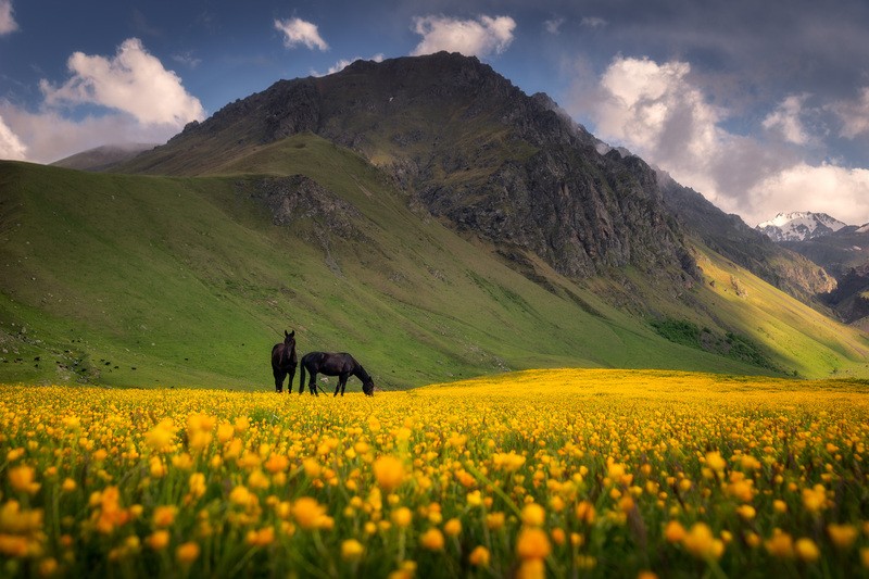 Фото сделанное пользователем Gomunkul