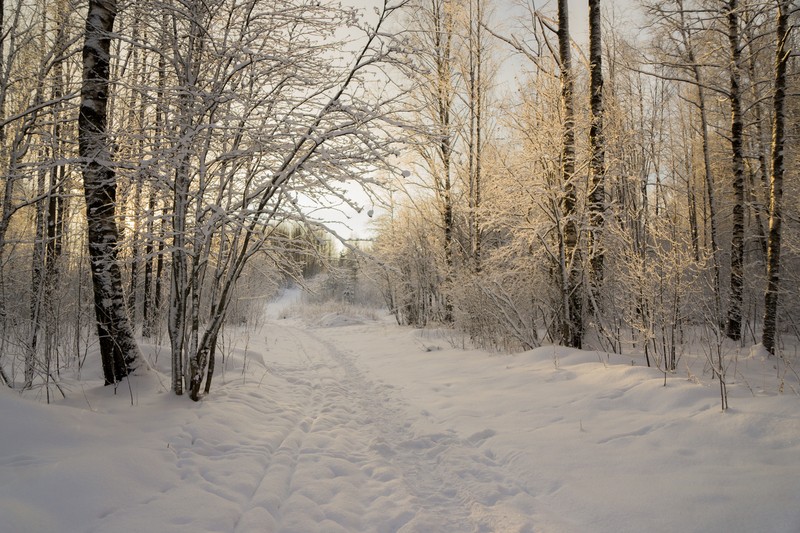 Фото сделанное пользователем sveelka