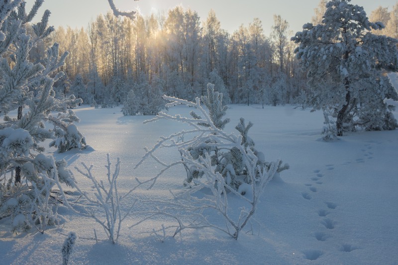 Фото сделанное пользователем sveelka