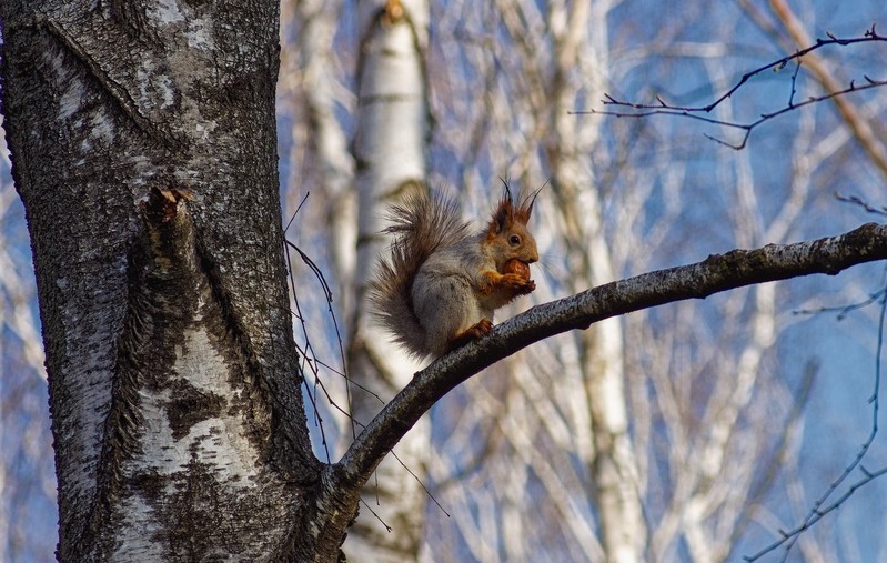 Фото сделанное пользователем TAL