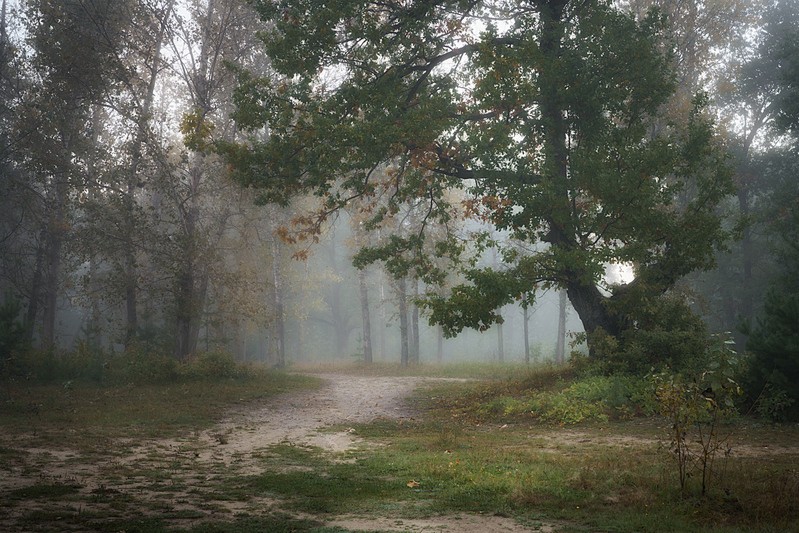 Фото сделанное пользователем GregB