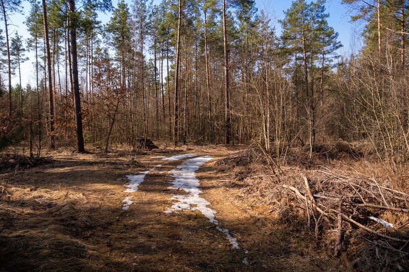 Фото сделанное пользователем YuryD