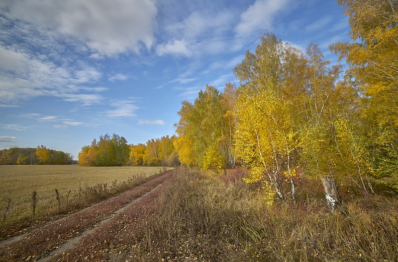 Фото сделанное пользователем Vladus72