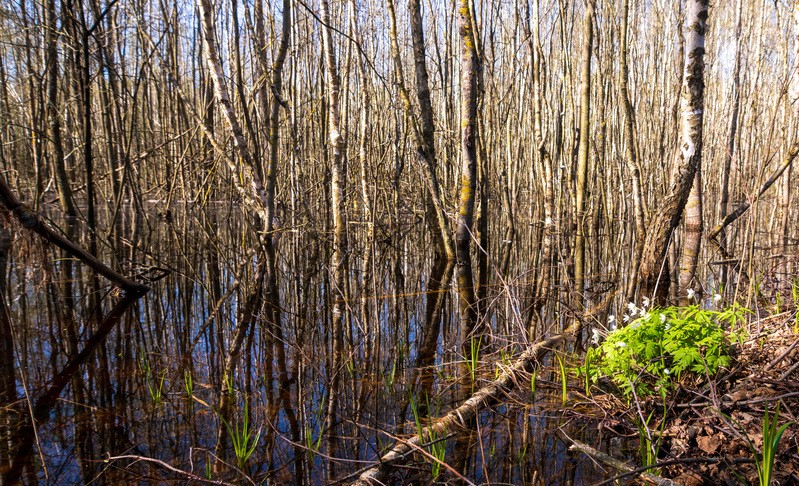 Фото сделанное пользователем YuryD