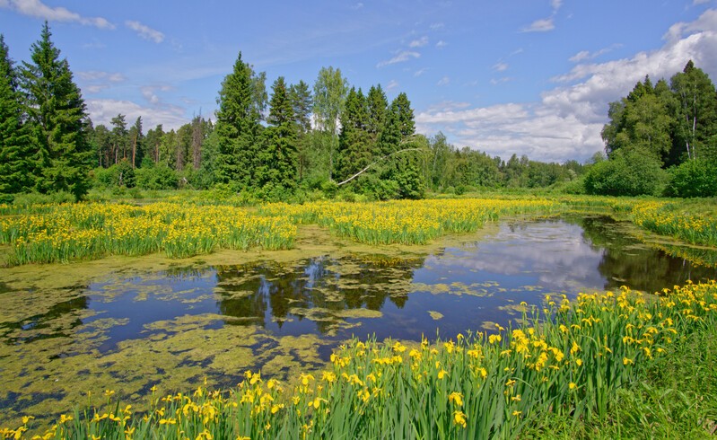 Фото сделанное пользователем andreybs