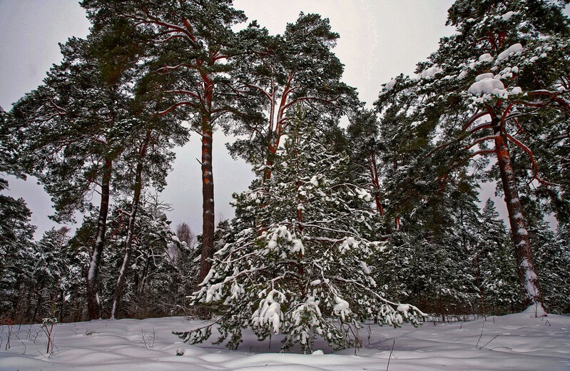 Фото сделанное пользователем Vdovin556