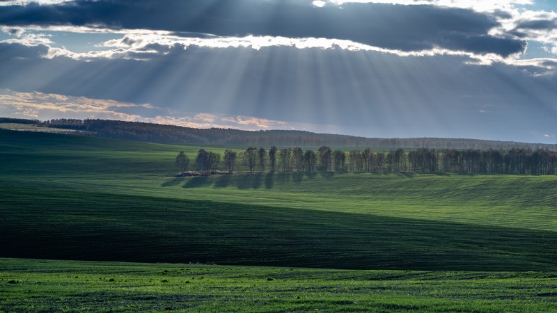 Фото сделанное пользователем another