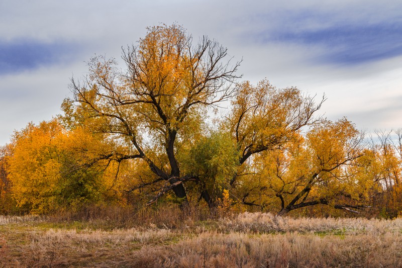 Фото сделанное пользователем Xelatarum