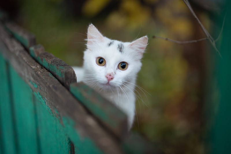 Фото сделанное пользователем Аек