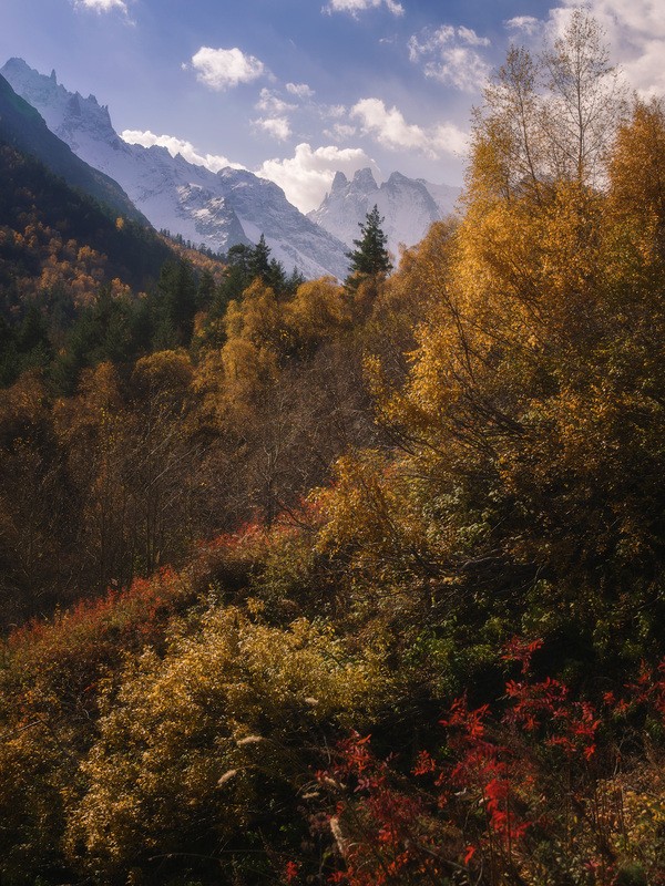 Фото сделанное пользователем GViC