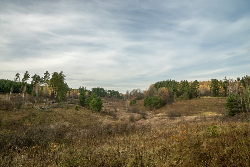 Фото сделанное пользователем pavelgsv