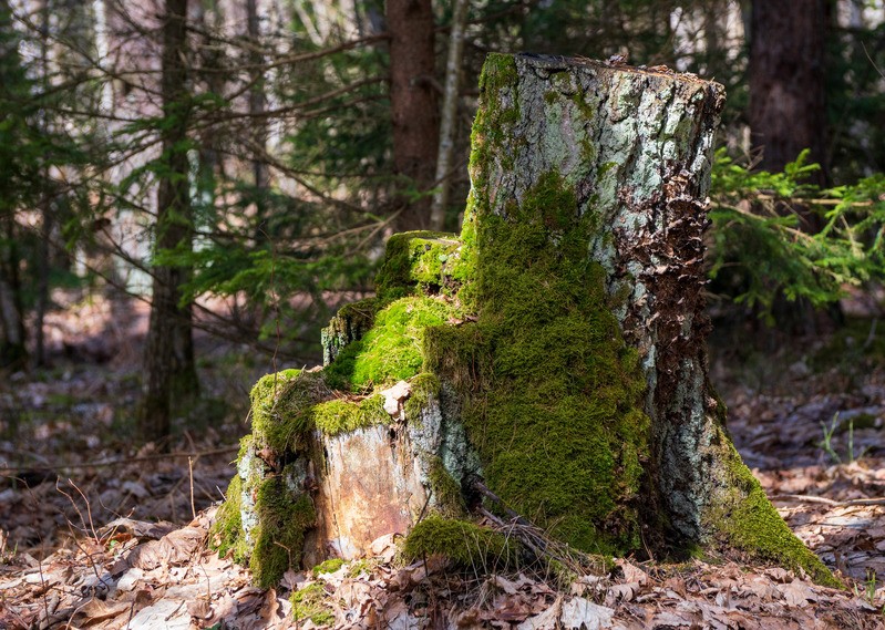 Фото сделанное пользователем YuryD