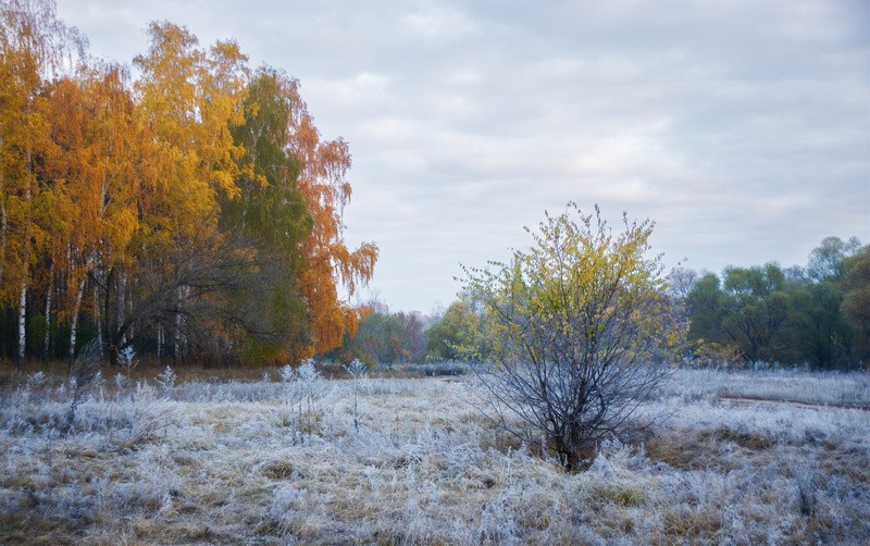 Фото сделанное пользователем Валерий VRN