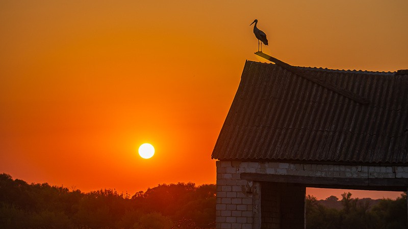 Фото сделанное пользователем nikbologov