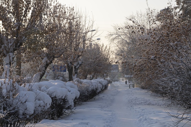 Фото сделанное пользователем 555