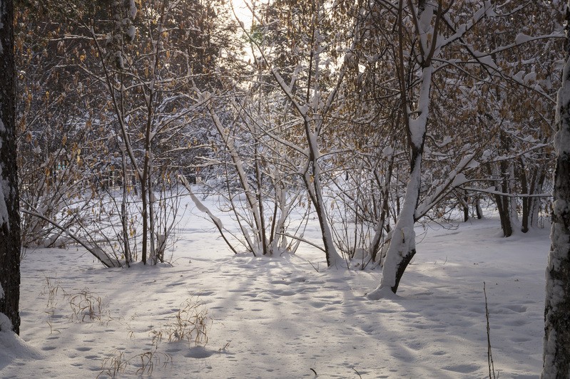 Фото сделанное пользователем 555