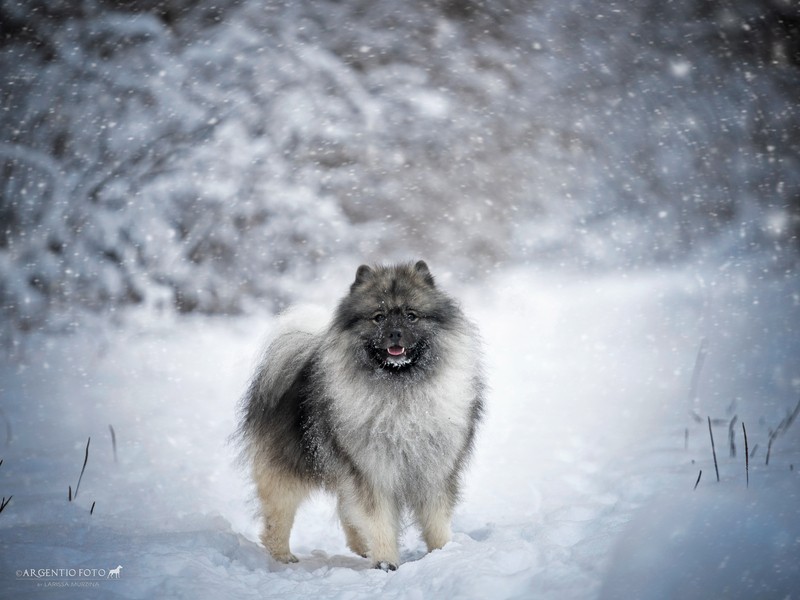 Фото сделанное пользователем larsik