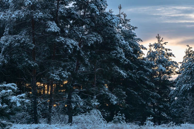 Фото сделанное пользователем pavelgsv