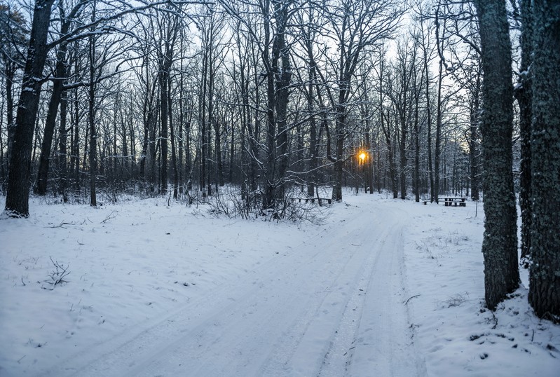 Фото сделанное пользователем Nevl