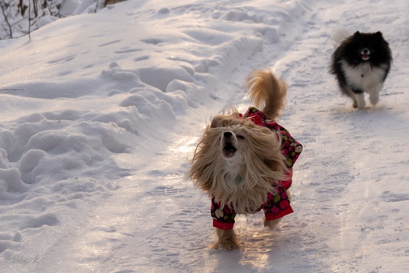 Фото сделанное пользователем AlekseyM