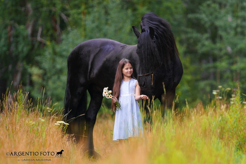 Фото сделанное пользователем larsik