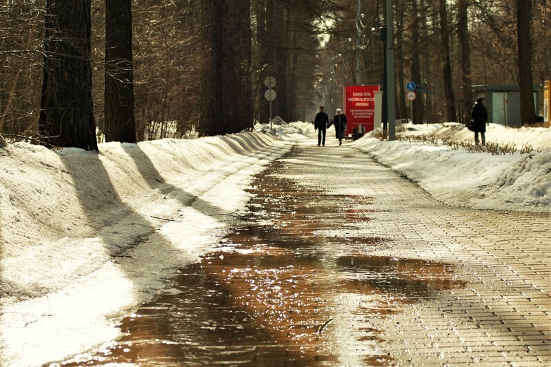 Фото сделанное пользователем Grunia