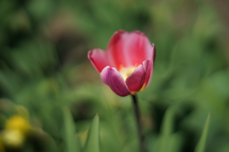 Фото сделанное пользователем Genisch