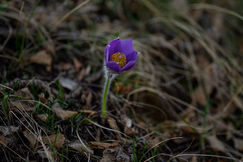 Фото сделанное пользователем ecarte