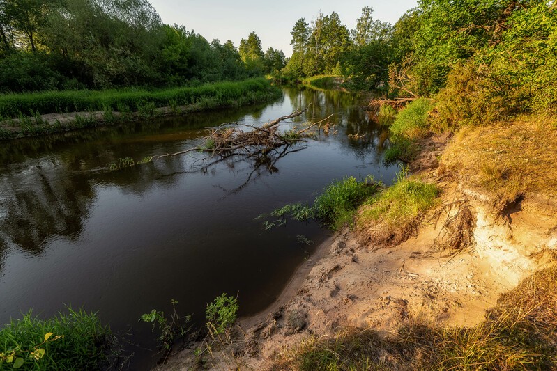 Фото сделанное пользователем S_Vladimir