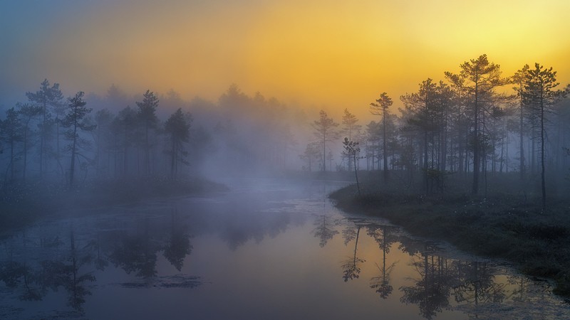 Фото сделанное пользователем TheChieF