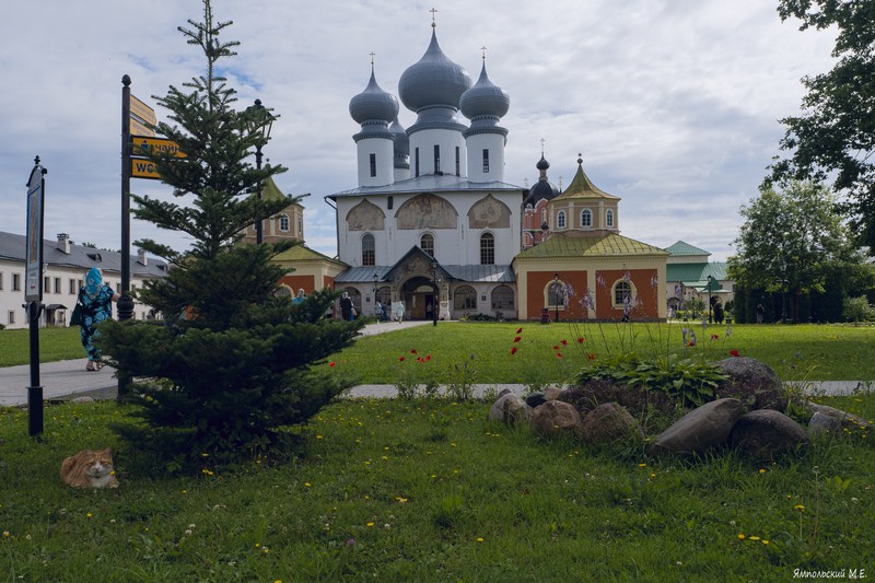 Фото сделанное пользователем Михаил_СПб