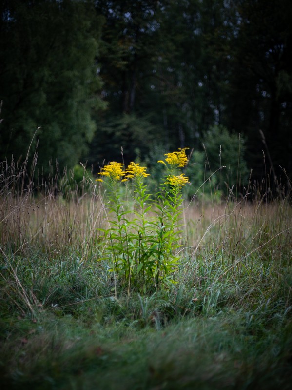 Фото сделанное пользователем another