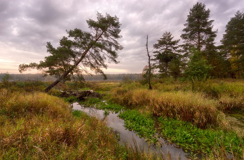 Фото сделанное пользователем Lurdess