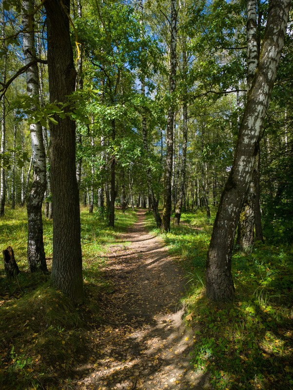 Фото сделанное пользователем another