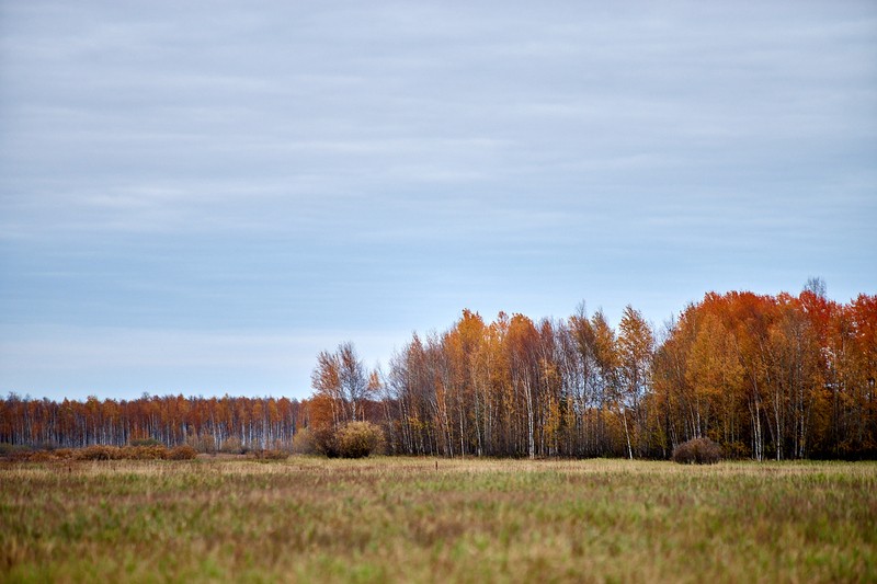 Фото сделанное пользователем tauRus.net