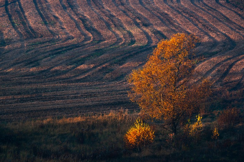 Фото сделанное пользователем Nevl