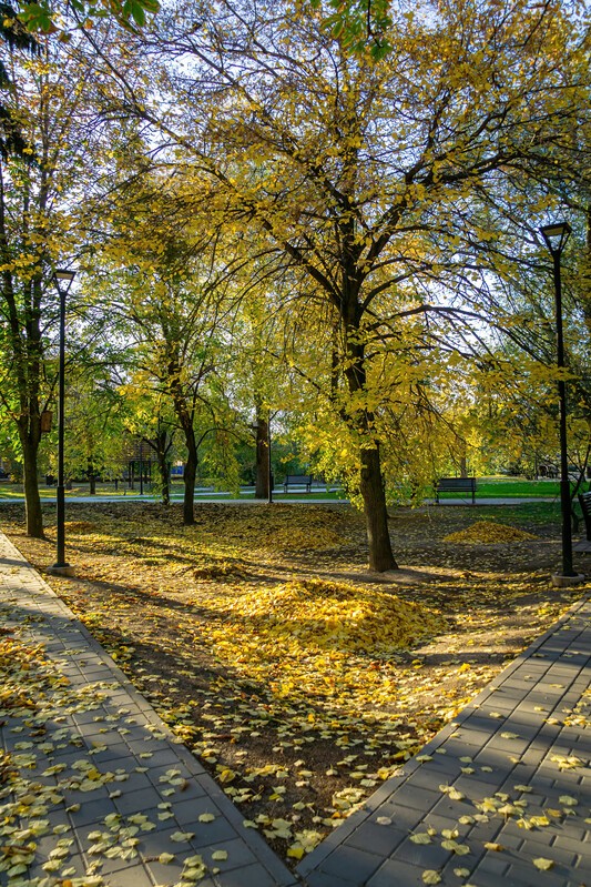 Фото сделанное пользователем АbM