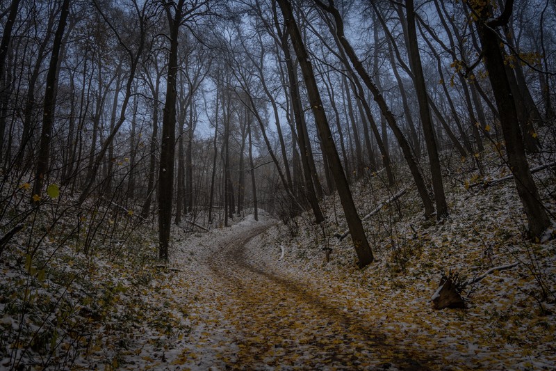 Фото сделанное пользователем Semenko