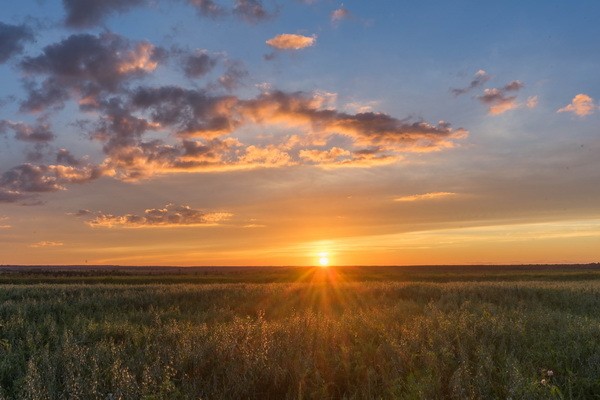 Фото сделанное пользователем vitek969