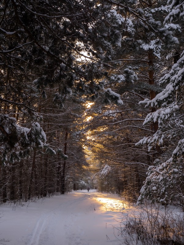 Фото сделанное пользователем another