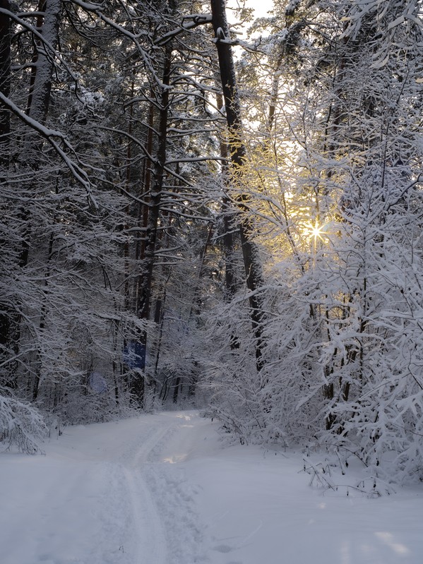 Фото сделанное пользователем another