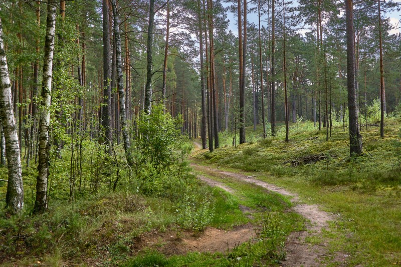 Фото сделанное пользователем Alikbars