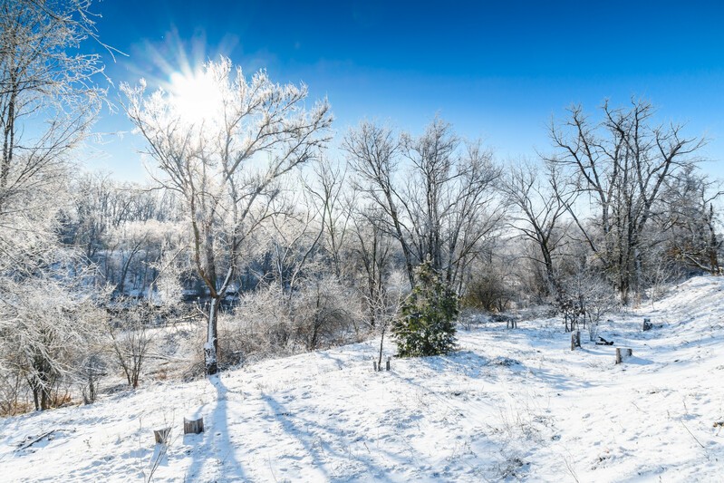 Фото сделанное пользователем АbM